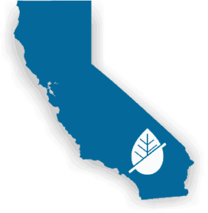 web california icon
