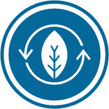 web icon used